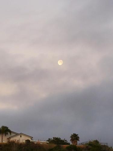 f0a34b3a-07e8-4434-ae37-2e2e80df26f2