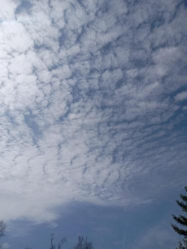 13fca69d-eb24-4f25-89e9-adbed02fdd4f