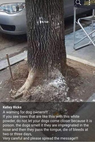 102463492_2654213681461250_3515062855624338728_o