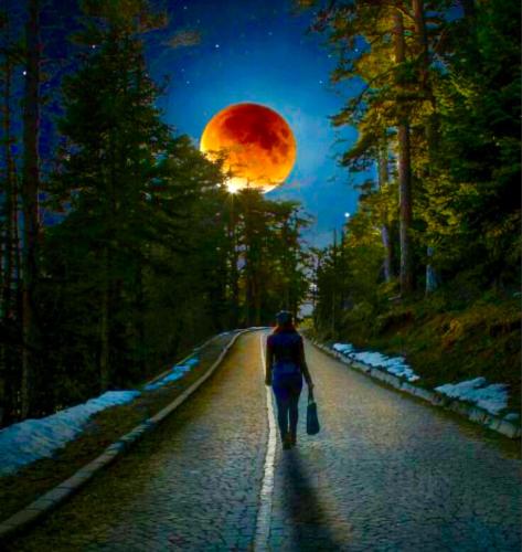 C250ECE9-0A54-4496-826F-907C245C7EC8