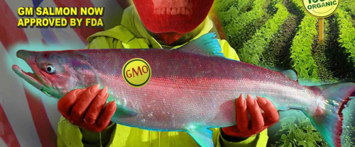 Screenshot_2022-03-07-01-08-11_kindlephoto-4196499