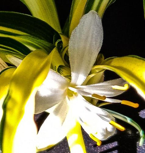 21f49491-1a80-4ccb-a07b-46224e55bfd2