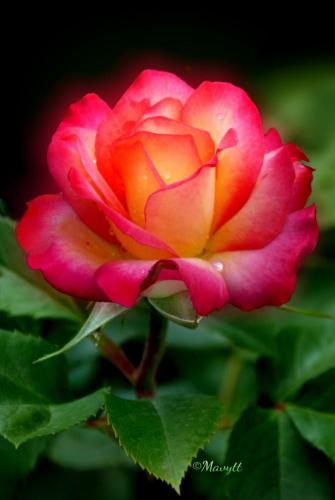 19:56:46 GMT-0500 (CDT)