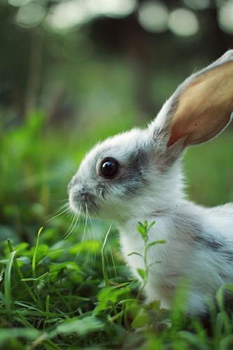 tumblr_924eba72b7755a33c582d7713ec117b7_31d4435f_500