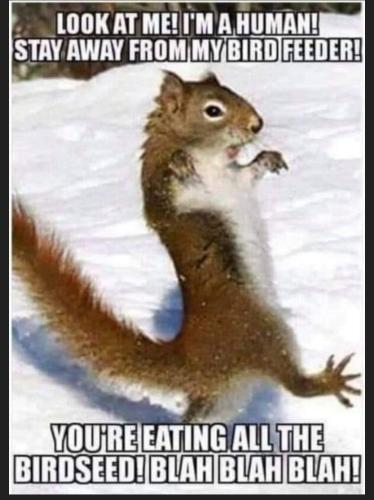 83157b86-e07a-410c-b6fa-420df845a2a9