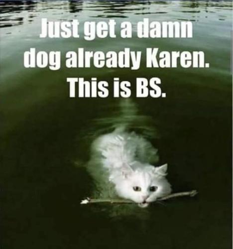 278447280_5609139122449686_6177296679768920746_n