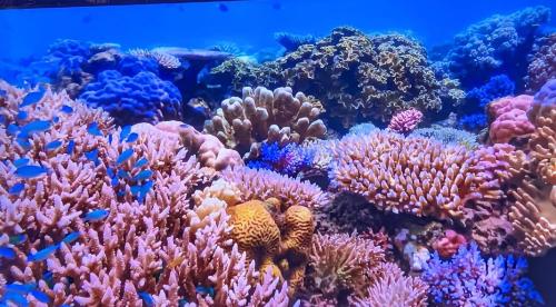 0bc1dea5-e34f-4bc5-b472-145a54cff20a