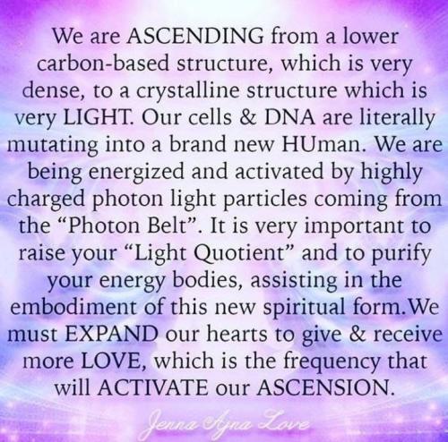 ,                                                                                                                                                                                                                          0 0