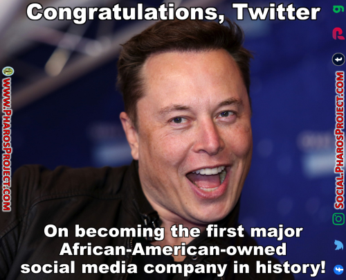 Elon Musk - African-American-owned Twitter - Web-Social