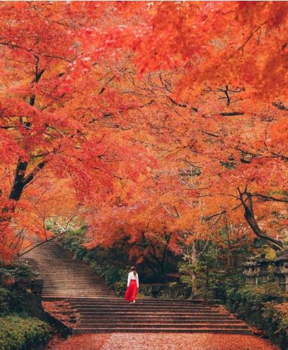 278822734_506665947754548_3997732249903415004_n