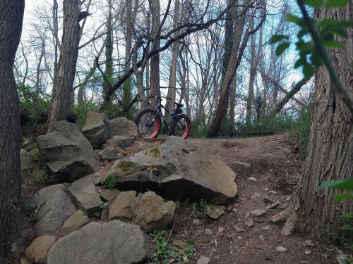 b8e1bdff-d5dc-4ccf-83ff-a371625b6304