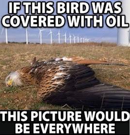 cb5b68f9-a0c4-4097-9ad6-56ed0335f90c