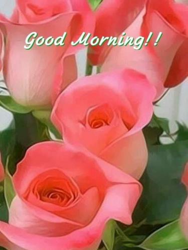 0d30ddef-e5f3-43d2-b49d-130d00b05b41