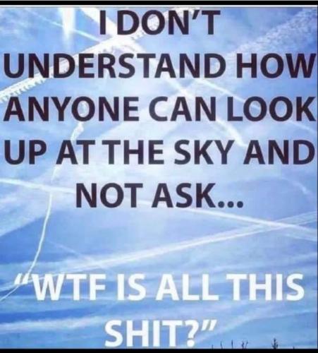 98741f9e-4fc7-41f8-a360-064140078a8f