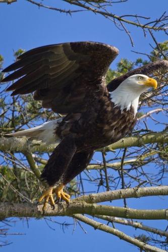 12:49:43 GMT-0500 (CDT)