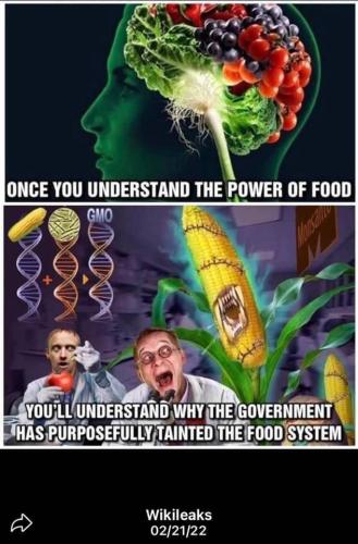 C37C7C7A-BC92-4CCE-8FD9-40DCFF8696FE