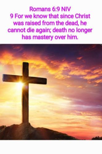 69600984-e591-4cce-9910-f735b43479da