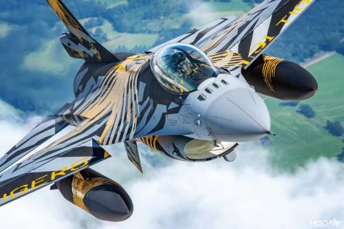 277730998_528055232004188_5582174114066401136_n