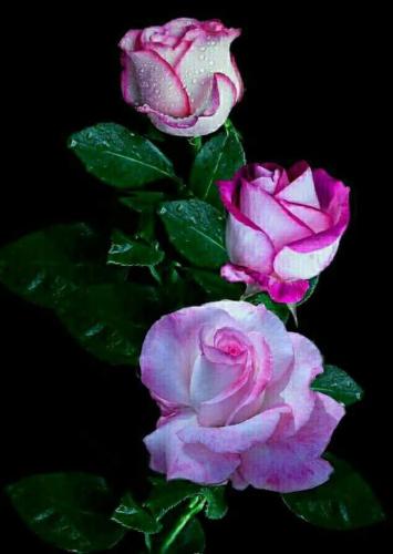 19:28:51 GMT-0500 (CDT)