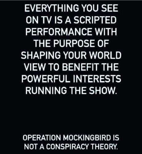 received_340566994775704