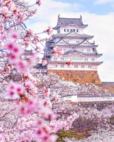 278137268_1006019456983172_819979476062845606_n