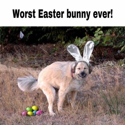 tumblr_d48ecdacd31a51fdbf567b067810b99b_b067f451_540