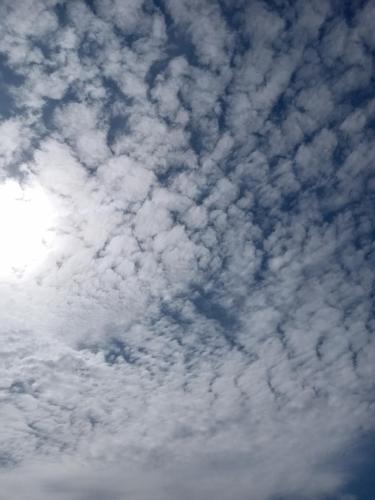 445f26a3-59ef-4a0f-8937-5ac56bfd6c98