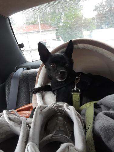 12:21:40 GMT-0400 (EDT)