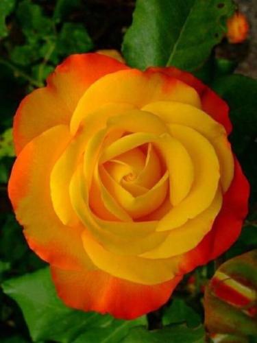 10:49:14 GMT-0500 (CDT)