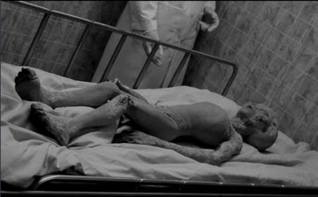 Screen Shot 2021-07-27 at 12.53.28 PM