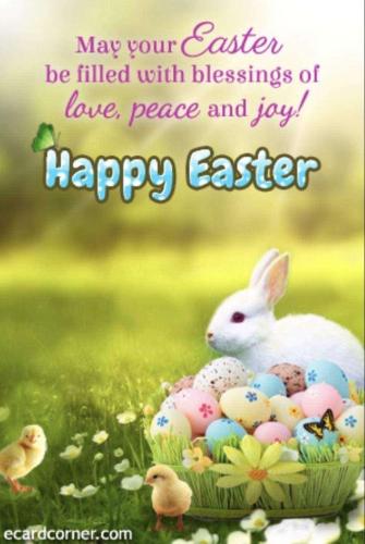 42b8642e-804c-404e-8c3d-61da902bf211