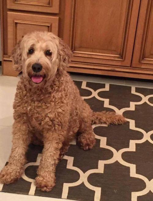 dfa44bb5-c0ab-4679-8585-23ac236df2f8