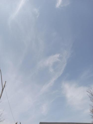 df507bc9-b7b7-42b9-9341-ed88950d79a7