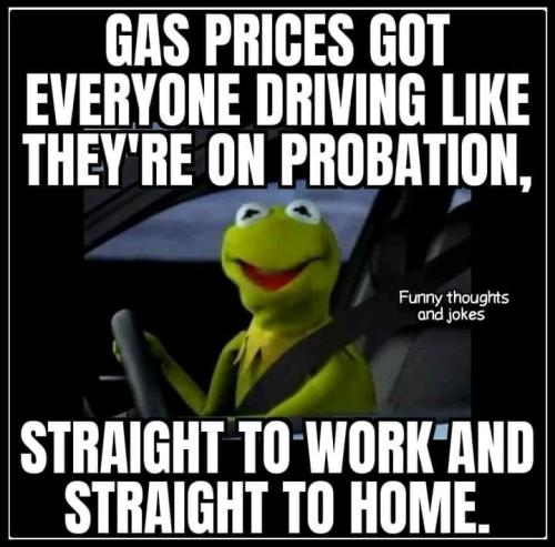 278387676_5190600477652642_1133033756782703282_n