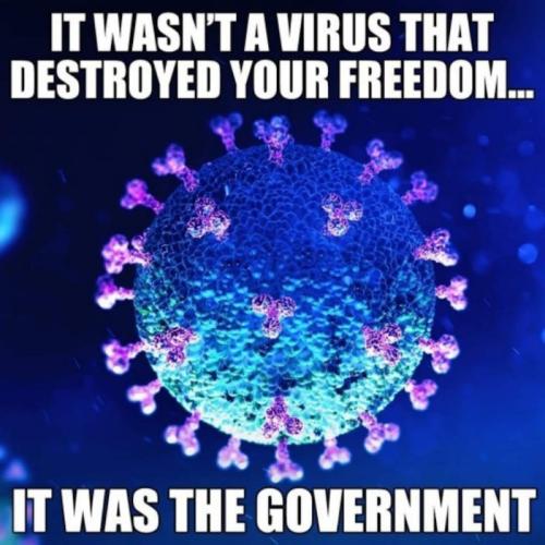 coronavirus1355