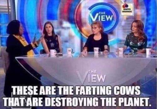 923e1927-f98a-4e1f-b741-7ee174b8d3c1