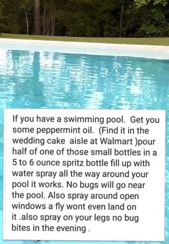 278046509_860250988709278_7218775877715497015_n