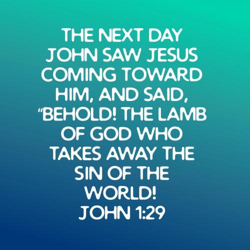 02e2d761-9240-446c-9232-8bcc31a095d6