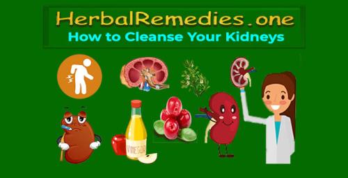 Herbalremedies.one - How to Cleanse Your Kidneys