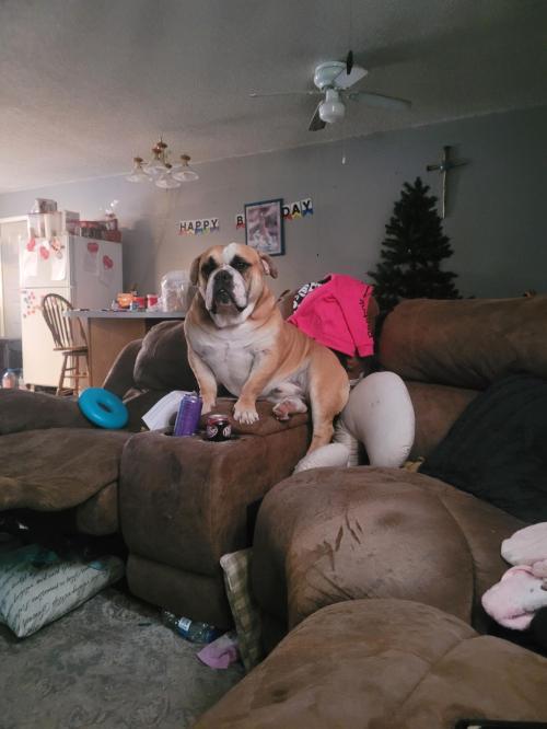 a8d6d43c-acd6-4c03-8ba3-4cc87ce50c99