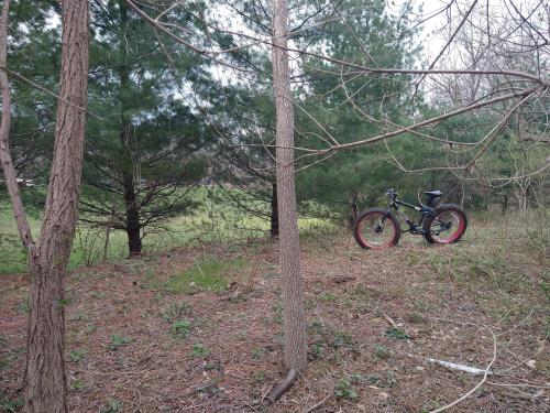 fc84b274-6821-43da-9400-433fac1e692a