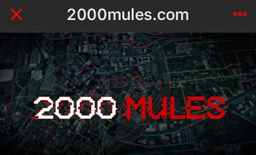 2000Mules.com