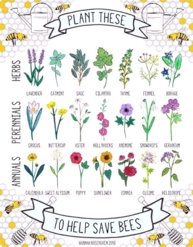 Screenshot_2022-04-21-02-27-10_kindlephoto-308782008