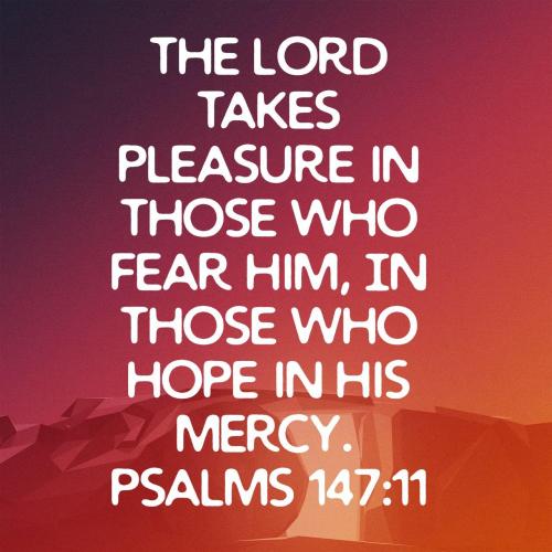 5ec8b0ba-6bcd-4d0f-9195-edb7cea4b49b