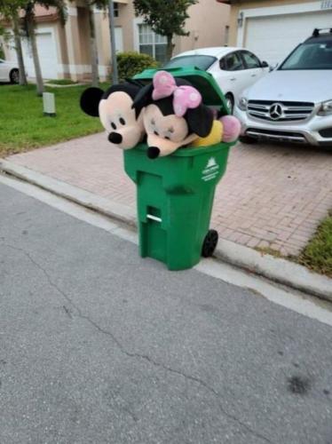 mickey and minnie