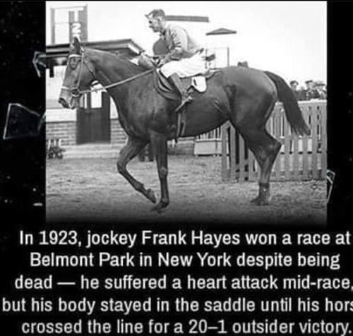 278712464_320606153511457_3390610352272031997_n