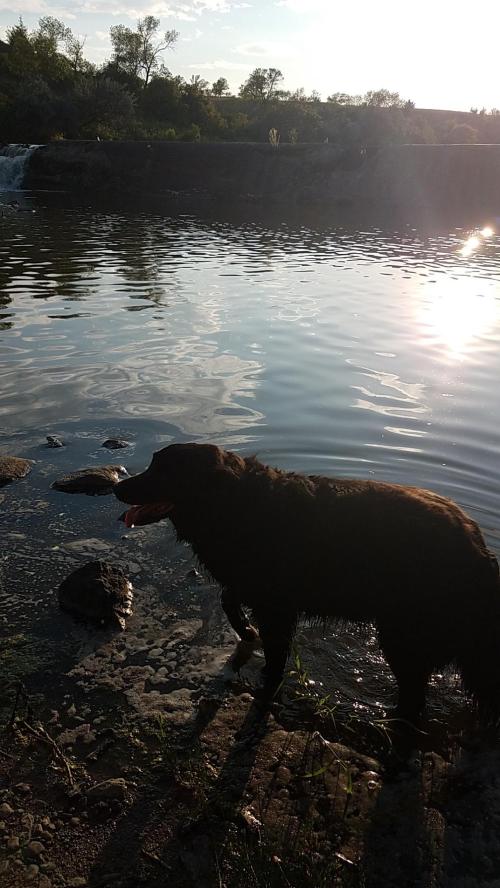 74af74ad-255c-4f0c-8741-498f85c7895d