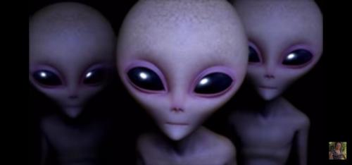 a34105c4-8da2-46b1-8771-d1f9ab06d5f8