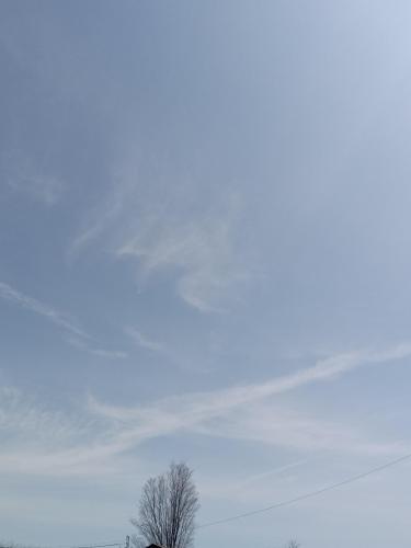 4ba6bdee-1ab6-44c9-a32d-9db6590da31e