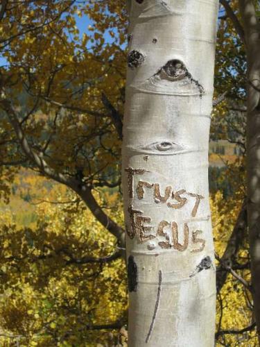 19d62da7-cb16-453f-a43b-c64b59d405dd